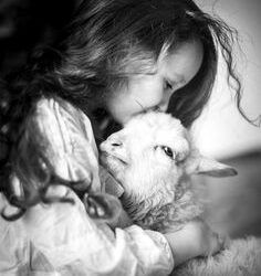 I “bambini” Indaco: descrizione generale