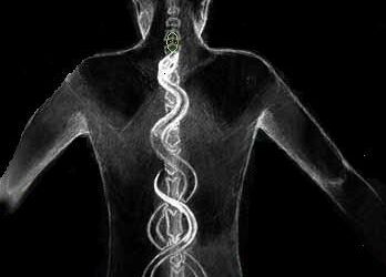 Che cos’è la Kundalini?