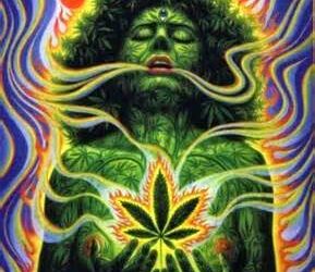 Cannabis ed espansione della Coscienza: i Chakra